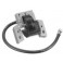 Bobine allumage tondeuse Briggs et Stratton
