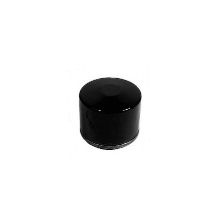 Filtre à huile autoportée Briggs et Stratton 491056