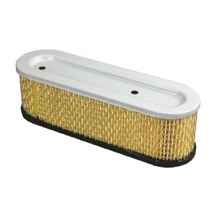 Filtre à air autoportée Briggs et Stratton 491519