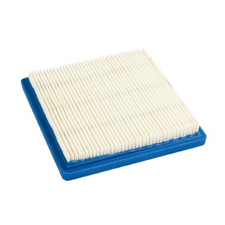 Filtre à air Tondeuse Briggs et Stratton 399877