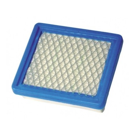 Filtre à air tondeuse Tecumseh 36046